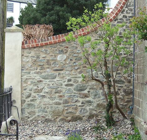Wall after repointing